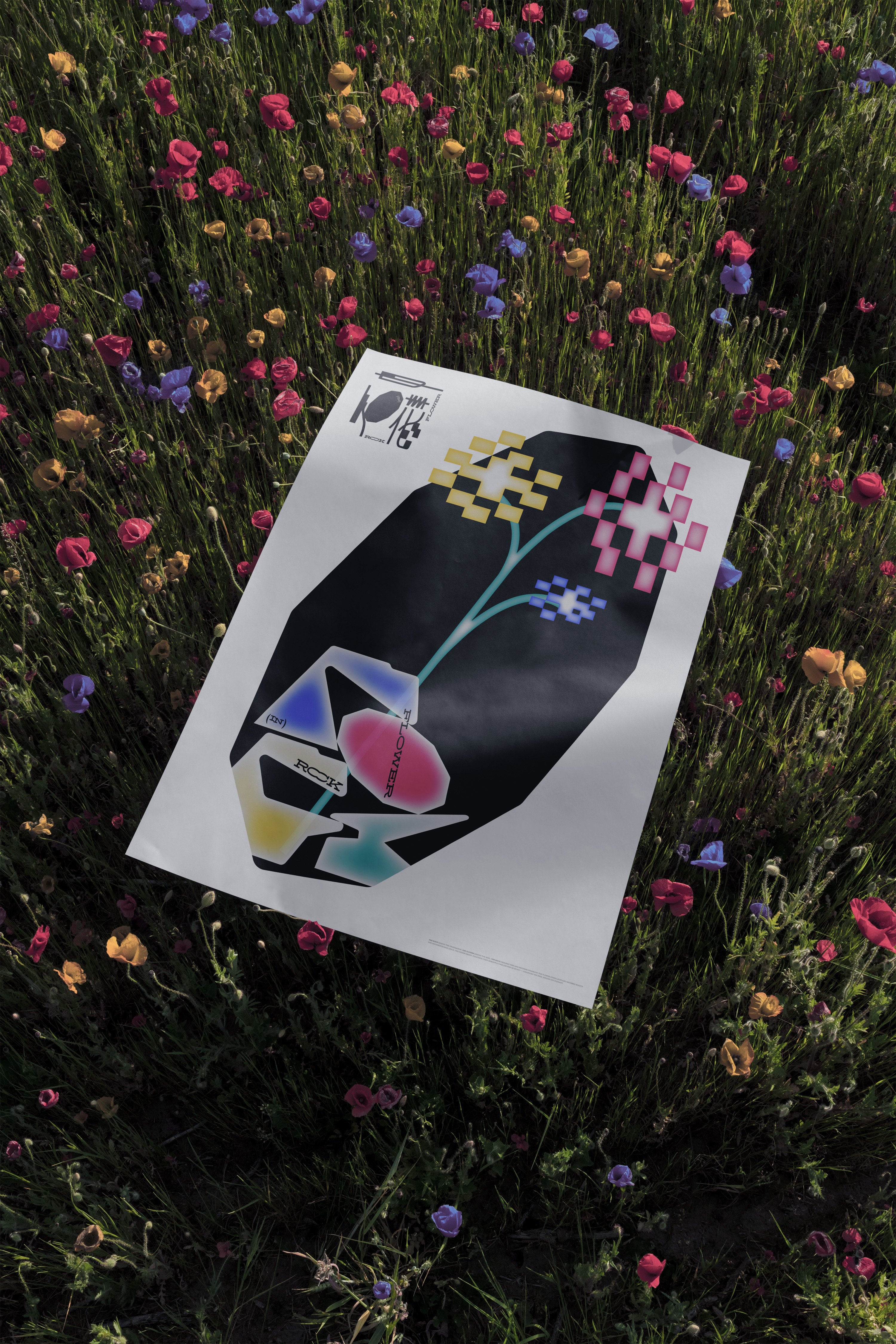 Flower in Rock_06