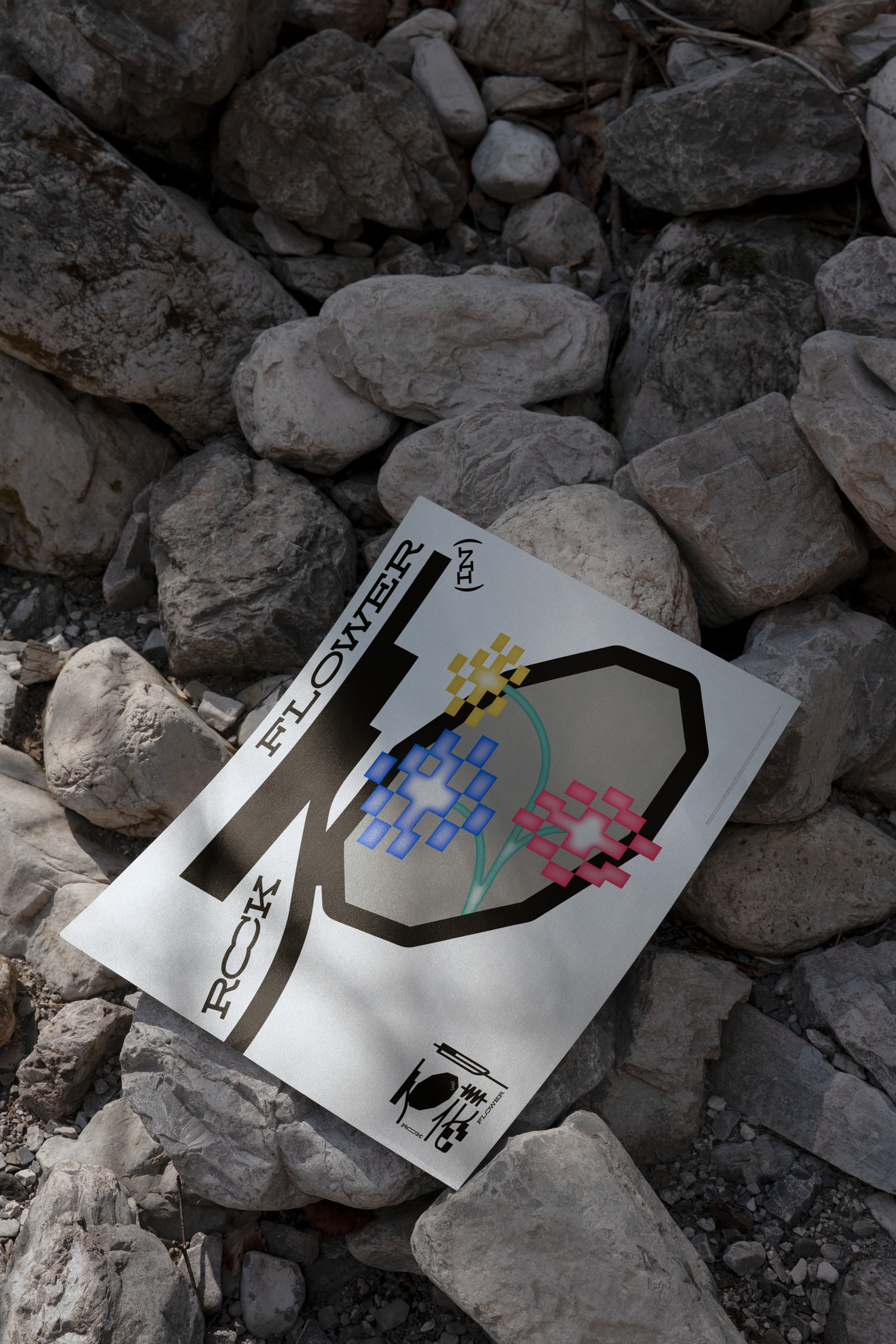 Flower in Rock_07